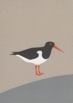 Postkaart A Little Bird Told Me... 056 - Scholekster X12