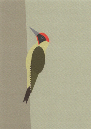 Postkaart A Little Bird Told Me... 058 - Groen Specht X12