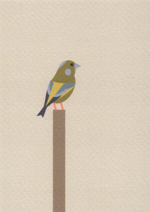 Postkaart A Little Bird Told Me... 059 - Groenling X12