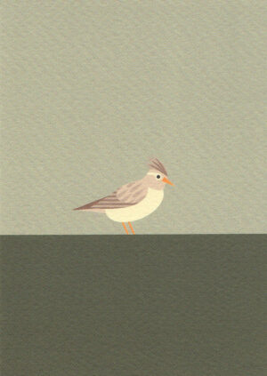 Postkaart A Little Bird Told Me... 060 - Veldleeuwerik X12