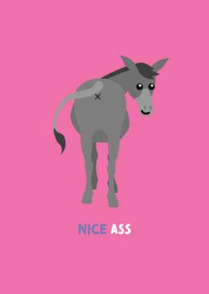 Postkaart Pun Intended. 051 - NICE ASS X12