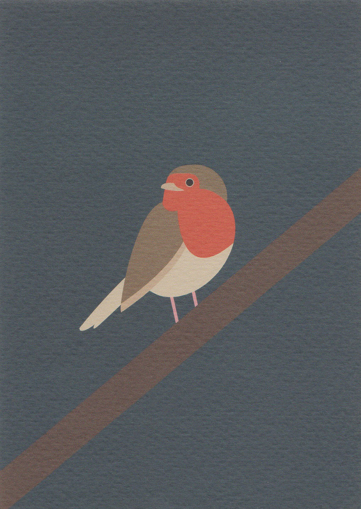 Postkaart A Little Bird Told Me... 001 - Roodborst X12